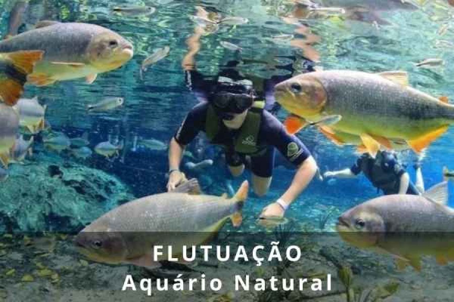 Flutuação Aquário Natural MS