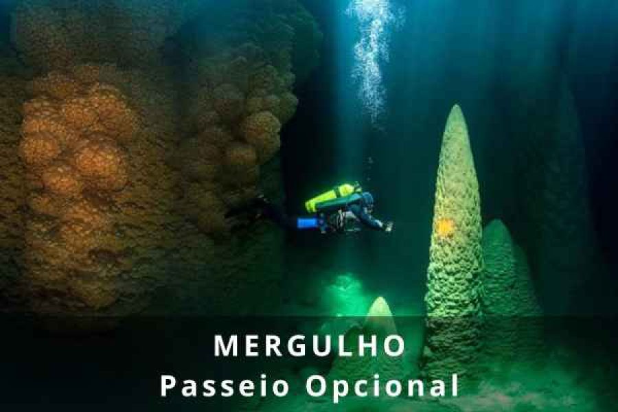 Mergulho Abismo Anhumas e Caverna Experience