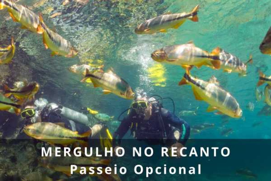 Mergulho Recanto Ecológico Rio da Prata em Bonito MS