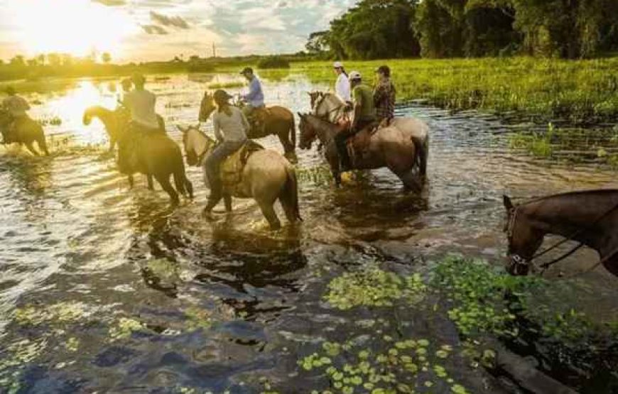 POUSADA AGUAPÉ Safari Experience