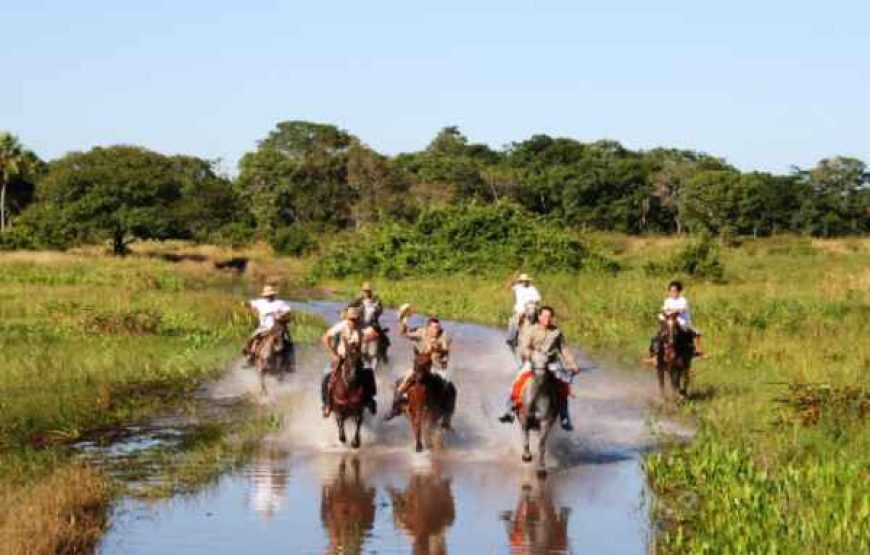 POUSADA AGUAPÉ Safari Experience