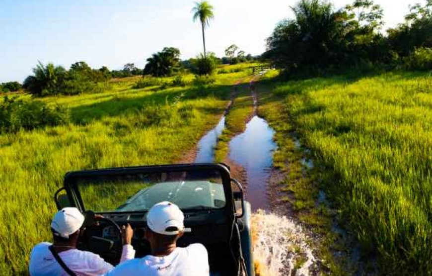 POUSADA AGUAPÉ Safari Experience