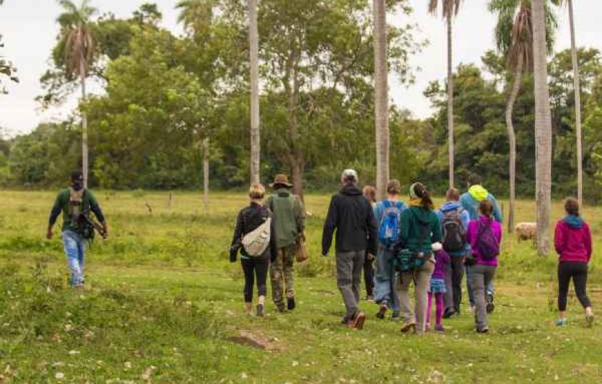 POUSADA AGUAPÉ Safari Experience