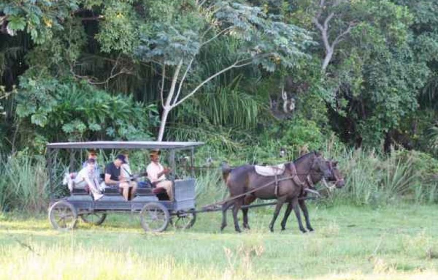 POUSADA AGUAPÉ Safari Experience