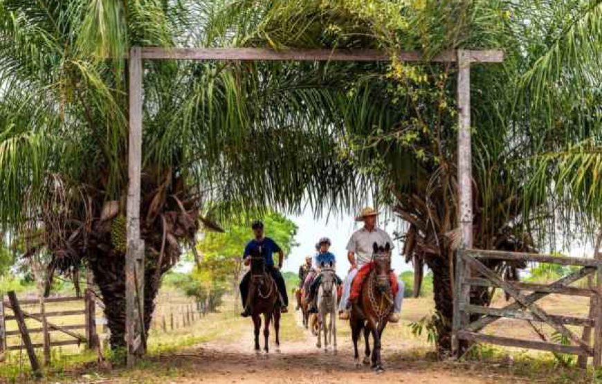 POUSADA XARAÉS Safari Experience