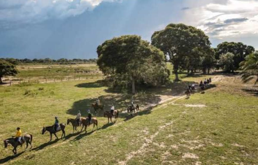 LONTRA PANTANAL HOTEL Safari Experience